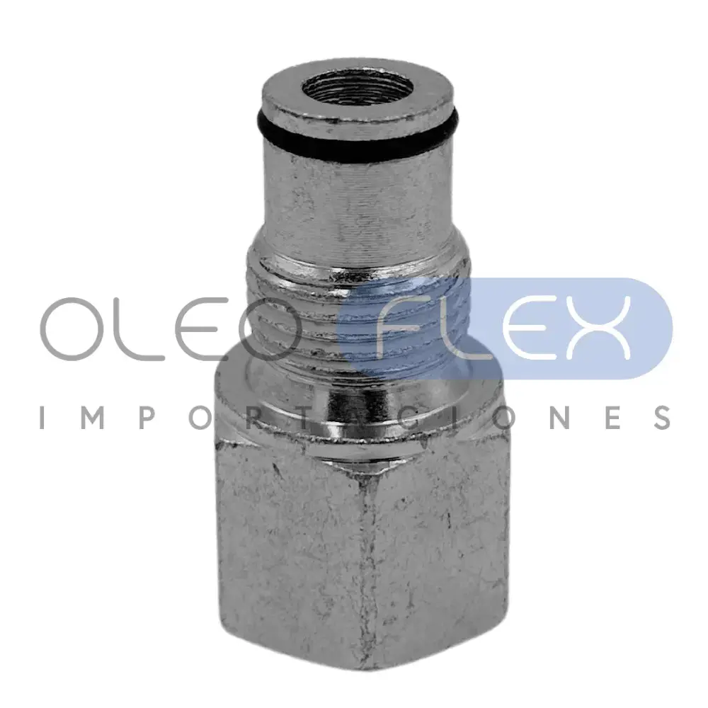 KIT CARRY OVER POWER BEYOND P-80 - Oleoflex Importaciones SpA