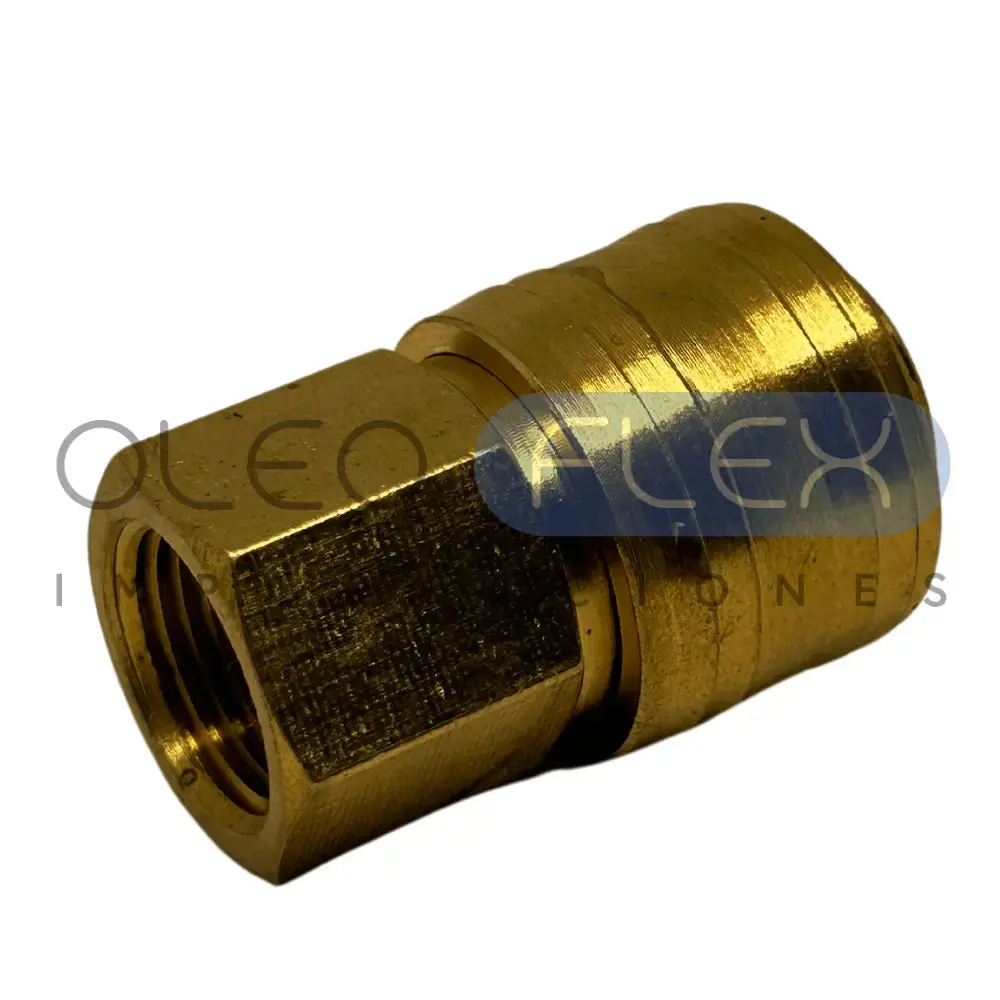 ACOPLE RAPIDO AIRE CUERPO HI 1/2 - Oleoflex Importaciones SpA