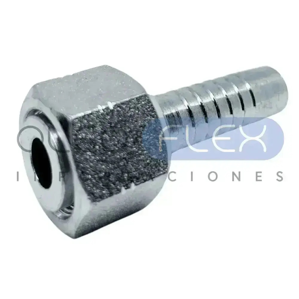 HEMBRA FOR 20-20 - Oleoflex Importaciones SpA