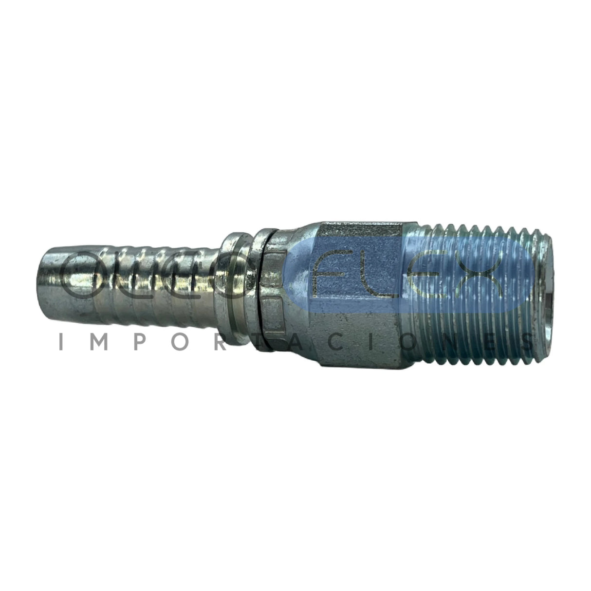 MNPTG0404 - MNPTG-01-portada