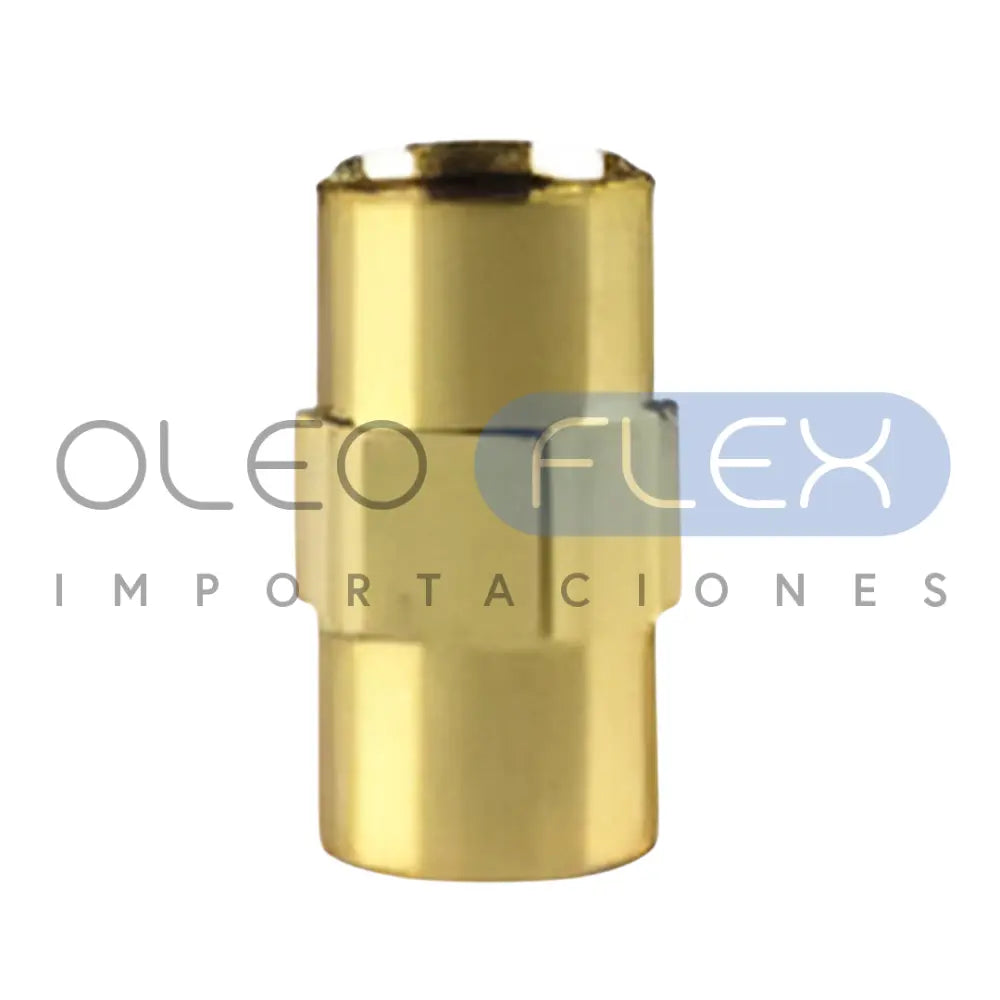 Foto de Niple Hex. Bronce Hi 1/8-hi 1/8" - vista frontal sobre fondo blanco | SKU HFC103FB02 | Oleoflex Importaciones