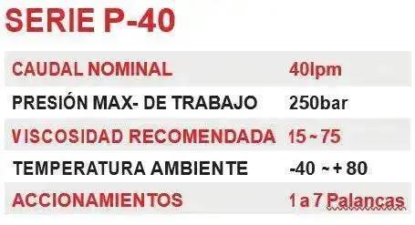VALVULA DIRECCIONAL MANUAL BLOCK DE 7 PALANCAS 40 LPM PT 1/2 BSP X AB 1/2 BSP 250BAR 4V-3P MOD. P40-7-O - Oleoflex Importaciones SpA