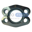 BRI600012 - BRIDA FLH-01-portada