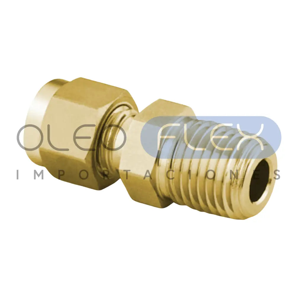 Foto de Conector Bronce Montado Macho 1/8"od x 1/8"NPT - vista frontal sobre fondo blanco | SKU HFC68F0203 | Oleoflex Importaciones
