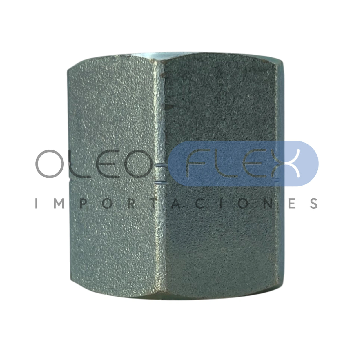 COPLAFP2424 - COPLA FP-FP 12-12-04-lateral2