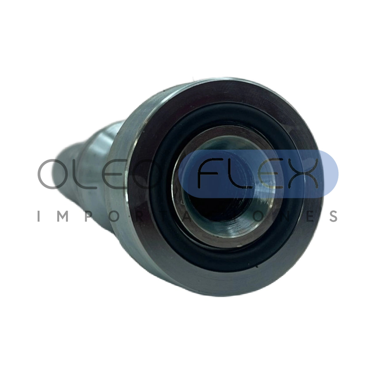 FLACAT1616INT - FLACATINT-02-lateral1