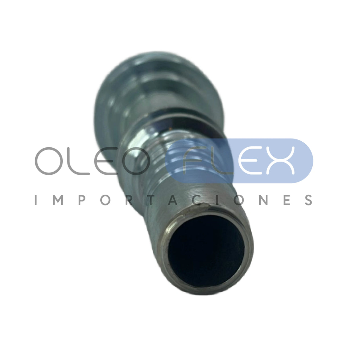 FLACAT2020INT - FLACATINT-04-lateral2