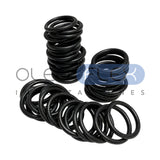 Kit O-Ring FL / Flange — 50 unidades
