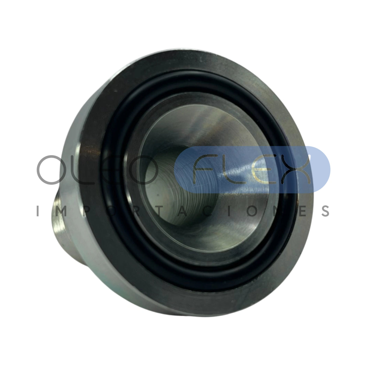 ADMJFLHCOD621216 - MJ-FLH COD 62 DES-02-lateral1