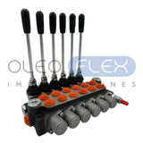 VALVULA DIRECCIONAL MANUAL BLOCK DE 6 PALANCAS 40 LPM PT 1/2 BSP X AB 1/2 BSP 250BAR 4V-3P MOD. P40-6-O - Oleoflex Importaciones SpA