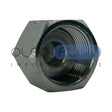 ADTFORX04 - TAPON FORX-01-portada