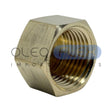 Tapón Hembra Bronce NPT