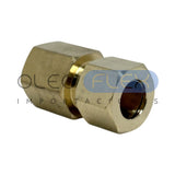 Conector Compresión Hembra NPT Bronce